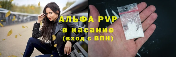 гашик Белокуриха