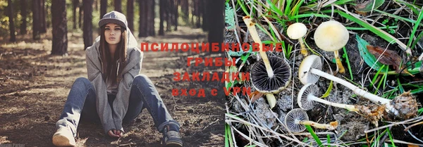 амф Белоозёрский