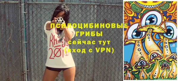 гашик Белокуриха